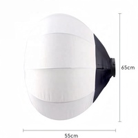 NOUVEAU Kit d'éclairage de studio avec boule softbox de 65 cm, lumière LED bicolore 100W 220V et trépied de 2,1 m pour diffusion en direct et vlogging