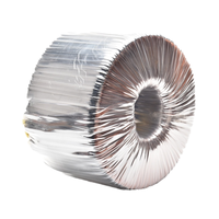 Transformador Médico Toroidal Personalizado de 230V/240V con Salida de 380V, Transformador de Potencia de Audio de Aislamiento de Alta Eficiencia con Certificación CE RoHS