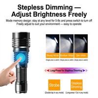 Lampe torche UV rechargeable 365 nm pour usage extérieur, en aluminium, identificateur de fluorescence, vérification des étiquettes de vin, OEM