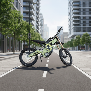 Moto tout-terrain <span class=keywords><strong>Sur</strong></span> <span class=keywords><strong>Ron</strong></span> Light Be 10000W, vitesse maximale de 80 km/h, quatre couleurs au choix pour adultes - Product Image 5