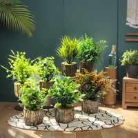 Petite plante en pot de style nordique, fleur en soie, succulente, simulation, ornement pour la décoration de la maison et des supermarchés