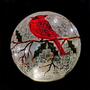 Vente en gros de lampes boule de verre craquelée lampes de table à motif d'oiseau cardinal <span class=keywords><strong>veilleuse</strong></span> LED alimentée par batterie pour fête d'anniversaire - Product Image 3
