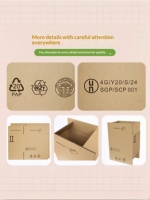 Carton d'emballage pour marchandises dangereuses, boîte d'expédition et de transport aérien pour produits chimiques inflammables