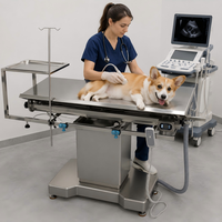 Table d'opération vétérinaire XY ACS03 pour chiens et chats avec levage électrique, structure stable et plateau à instruments
