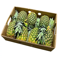 Carton d'expédition pour ananas frais, carton ondulé robuste, boîte d'emballage pour fruits, pour l'approvisionnement agricole