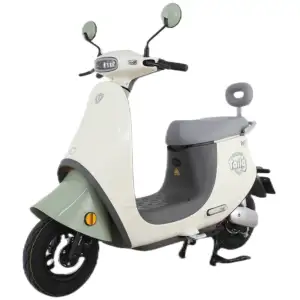 Tailg Xe Tay Ga Điện Di Động 50CC Cho Người Lớn Thổ Nhĩ Kỳ Bán Chạy Nhiều Màu Sắc Trung Quốc Dùng Cho Nữ