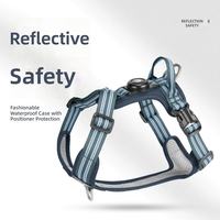 Harnais pour chien en nylon respirant anti-traction avec couvercle de localisateur lumineux et anneau en D métallique – Sûr pour les promenades nocturnes et les voyages en voiture