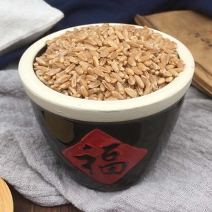 Fructus Tritici <span class=keywords><strong>Levis</strong></span>, Trigo Flotante, Trigo Claro, Hierba Medicinal China Seca Fu Xiao Mai, en Venta - Product Image 4