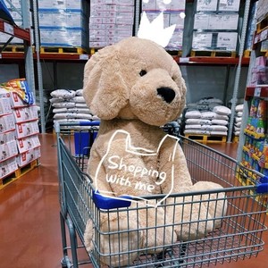 Peluche de Golden Retriever <span class=keywords><strong>Sam</strong></span>, Peluche de Pelo Corto, Relleno de Algodón PP, 31-50cm, para Dormir y Abrazar, para Niñas - Product Image 3