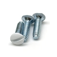 # Vis ovales à tête fendue 6-32 UNF, blanches, zinguées, pour accessoires de prises de courant standard américaines