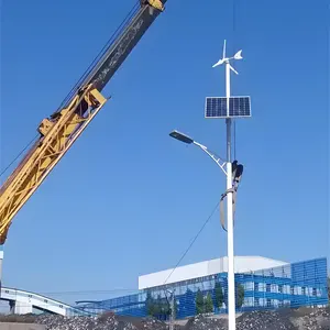 Shuntai các nhà sản xuất bán hàng trực tiếp năng lượng mặt trời Powered tuabin gió chất lượng cao chiếu sáng đường phố cực