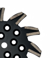 Disque de meulage diamanté pour béton de 300 mm (10 pouces) type Blastrac pour meuleuse de sol, personnalisable OEM