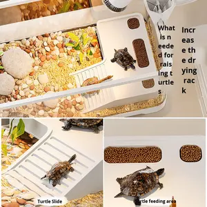 Streng geselecteerde acryl schildpadenvijver, ecologisch landschap, professionele zonnebadplaatsen en klimplatforms voor schildpadden. - Product Image 3