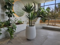 Grandes jardinières personnalisées en argile, hautes, en fibre d'argile, sculptées à la main, écologiques, de 5 gallons, pour usage intérieur en centre commercial