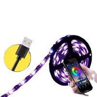 Lampu Strip LED Pintar 2025 New Hengyu Usb 5v Rgb 5050 30leds/m Ce Rohs Tujuh Warna Kontrol Suasana