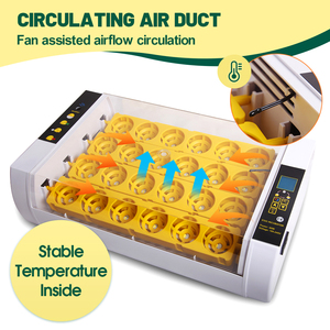 Incubateur et éclosoir automatique HHD pour 24 œufs de volaille, canard, oie, poulet, <span class=keywords><strong>caille</strong></span> et autres oiseaux - Product Image 6