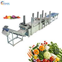 Commerciële salade sorteer-, was-, snij- en groente- en fruitwasmachine/groente- en fruitverwerkingslijn