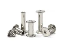 Chicago Screws with Slotted Precision Screw for Leather Belt