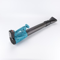 Sèche-cheveux domestique multifonctionnel puissant et silencieux, avec turbine de dépoussiérage, pour usage transfrontalier