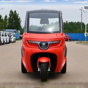 Tricycle personnalisé Vélo électrique Adultes Ouvrir Tricycles électriques 60V 72V Pedicab Tour Tricycle électrique Pare-soleil Auvent - Product Image 5