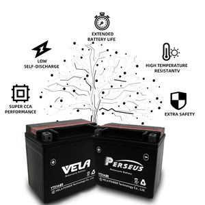 Batería de Motocicleta VELA <span class=keywords><strong>YTX14</strong></span> 12V 12AH AGM Nueva de Plomo Puro de Alta Calidad para Reemplazo/Reparación para Motos, Scooters y Motos Acuáticas - Product Image 4