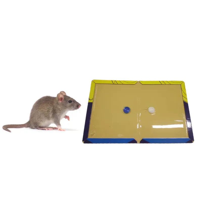 Efficienza cucina Synechia Rat Hard Mouse Glue Trap Paper Board