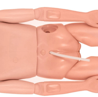 2025 vente chaude pas cher prix multifonction Mannequin Mannequin d'infirmière modèle pour l'école de formation