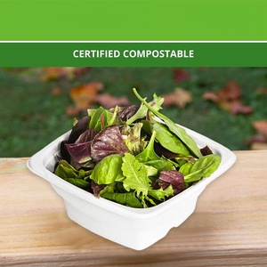 Biodegradable 16oz Square Sugarcane Bagasse Disposable Salad <b>Bowl</b> <b>with</b> Clear <b>Lid</b> Microwave Safe for Party Use - Product Image 4