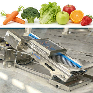Línea de Producción de Limpieza de Frutas y Verduras con Pulverización de Alta Presión Totalmente Automática, Lavadora de Verduras para Cocina Centralizada - Product Image 5