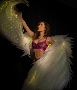 Ailes lumineuses magiques pour la danse, ailes de danse mobiles avec lumières, ailes d'ange blanches pour les spectacles de danse, ailes de scène - Product Image 3