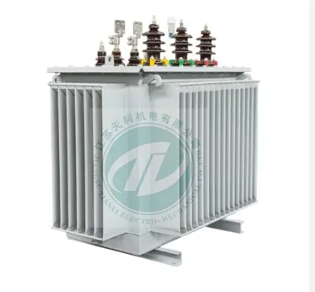 Electrical Equipment High Voltage And High Frequency 3 Phase 11kV 1000kVA Transformers Oil