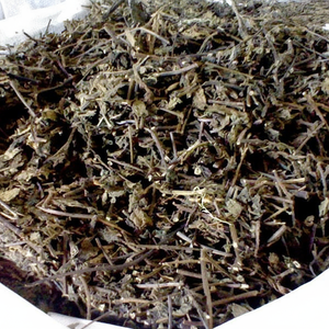 ใบเจลลี่หญ้าดำ เมโซนา ใบทาช เดน ไฮ เจล ซินเกาอบแห้ง บรรจุภัณฑ์แบบขายส่ง คุณภาพสูงจากเวียดนาม - Product Image 1