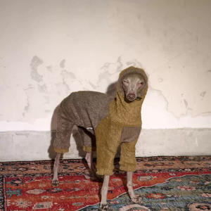 Suéter acogedor para perros <span class=keywords><strong>con</strong></span> patas y ropa cálida para mascotas para una cobertura de cuerpo completo en invierno - Product Image 5