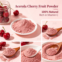 Groothandel Bulk 100% Natuurlijk Wateroplosbaar Voedingsmiddelkwaliteit Zuiver Acerola Kersen Fruitextract Poeder Rijk aan Vitamine C Halal Gecertificeerd
