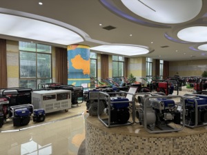 Factory Customized High Quality 230V Single Phase <strong>2.5KW</strong> 3KW 4KW Gasoline <strong>Generator</strong> - Product Image 6