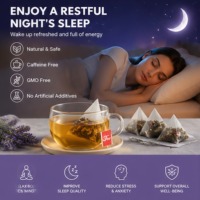 Thé en sachet pour le sommeil sous marque privée – Thé apaisant pour une nuit réparatrice, calme les nerfs, soulage le stress et l'anxiété, thé relaxant, faible MOQ
