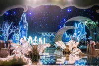 Rideau LED en forme d'étoiles avec contrôle DMX pour mariages, DJ, discothèques, parcs à thème en bleu et blanc chaud