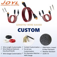 Câble de connexion de stockage JOYL XT-60 30A 500V DC 12AWG pour onduleur solaire et pack de batteries de véhicule électrique