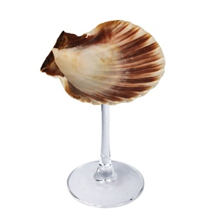 Verre à <span class=keywords><strong>martini</strong></span> et à vin en coquille de conque fait main, style minimaliste sur pied haut, artisanat de plage, cadeau - Product Image 4
