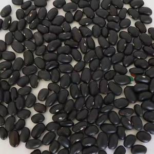 Haricot noir de haute qualité Black Turtle Bean Black <span class=keywords><strong>Matpe</strong></span> Bean Prix - Product Image 4