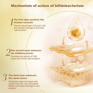 Mỹ phẩm lớp CAS 96507-89-0 <span class=keywords><strong>dimet</strong></span> Bifida lên men lysate phục hồi mỹ phẩm nguyên liệu - Product Image 3