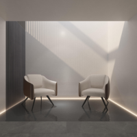 Fauteuils de salon au design moderne, en bois et métal, avec accoudoirs, pour les visiteurs VIP, les salles d'attente, les bureaux et les espaces publics