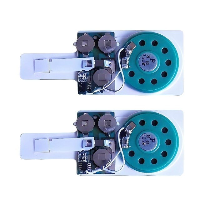 High Quality Sound Module for Greeting Card Melody Chips Prerecorded Voice Module Recordable Music IC Chip