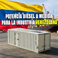 Générateur diesel triphasé silencieux de 700 kVA pour 100 foyers, idéal pour les situations d'urgence au Venezuela
