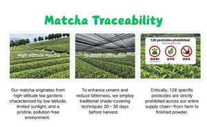 Té Matcha de Primera Calidad, Matcha Culinario, Proveedor de Matcha, <span class=keywords><strong>Lata</strong></span> de Matcha, Matcha en <span class=keywords><strong>Lata</strong></span>, Matcha Molido en Piedra para Comida/Bebidas/Panadería - Product Image 5