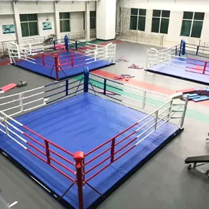 International Standard Canvas Cover 4x4m Professional Mma Thai Training Portable Foldable Floor Boxing Ring