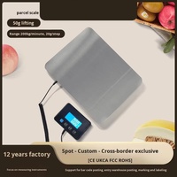 Balance postale numérique pour usage professionnel e-commerce, précision 10g, en acier inoxydable, portable, pour peser courrier et colis, support OEM