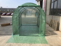 Serre tunnel autoportante 3x2m avec bâche PE et structure métallique galvanisée pour jardin extérieur, protection UV pour plantes, légumes et fleurs