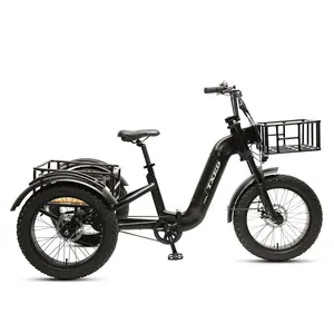 TXED 20 Inch 3 Wheel Electric Cargo E Bike 48V 500W New Lithium Battery LCD Rear Hub Motor Disc Brake Electric Cargo Bicycle