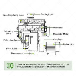 Machine de fabrication de granulés d'aliments pour animaux (bovins et crevettes) de 10 tonnes par heure, robuste - Product Image 3